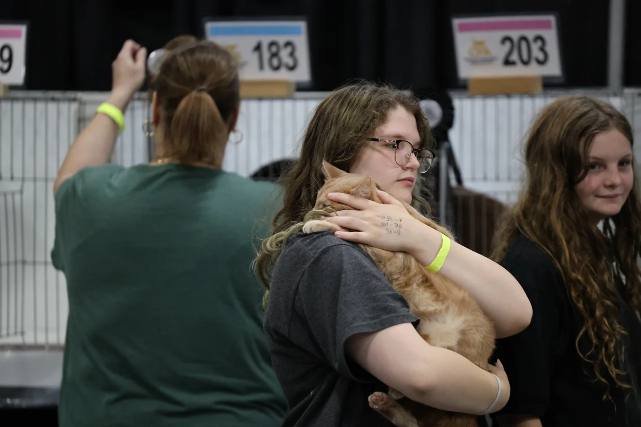 An exhibitor holding an orange cat among people at a cat show