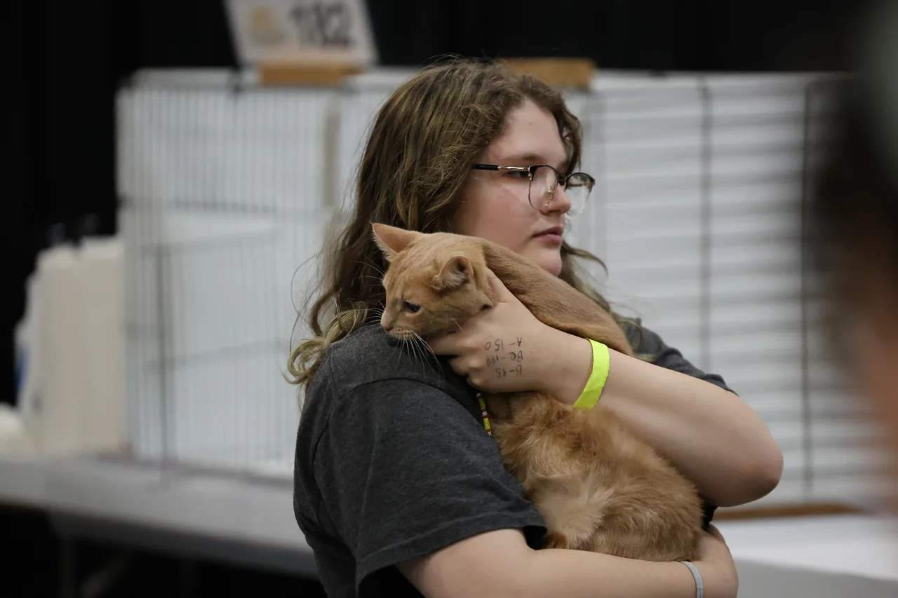 An exhibitor holding an orange cat close to her chest