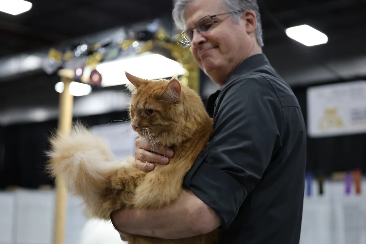 A man holding a large orange cat at a cat show