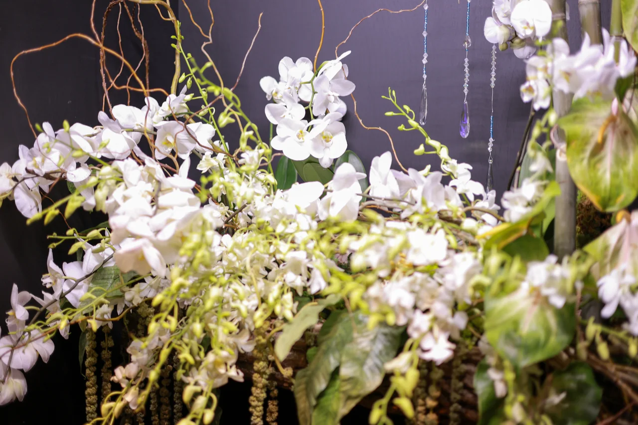 White orchids and pale green flowers arranged against a dark background