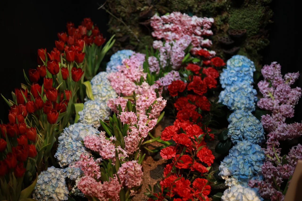 Curving rows of red, blue and pale pink flowers against a dark garden backdrop