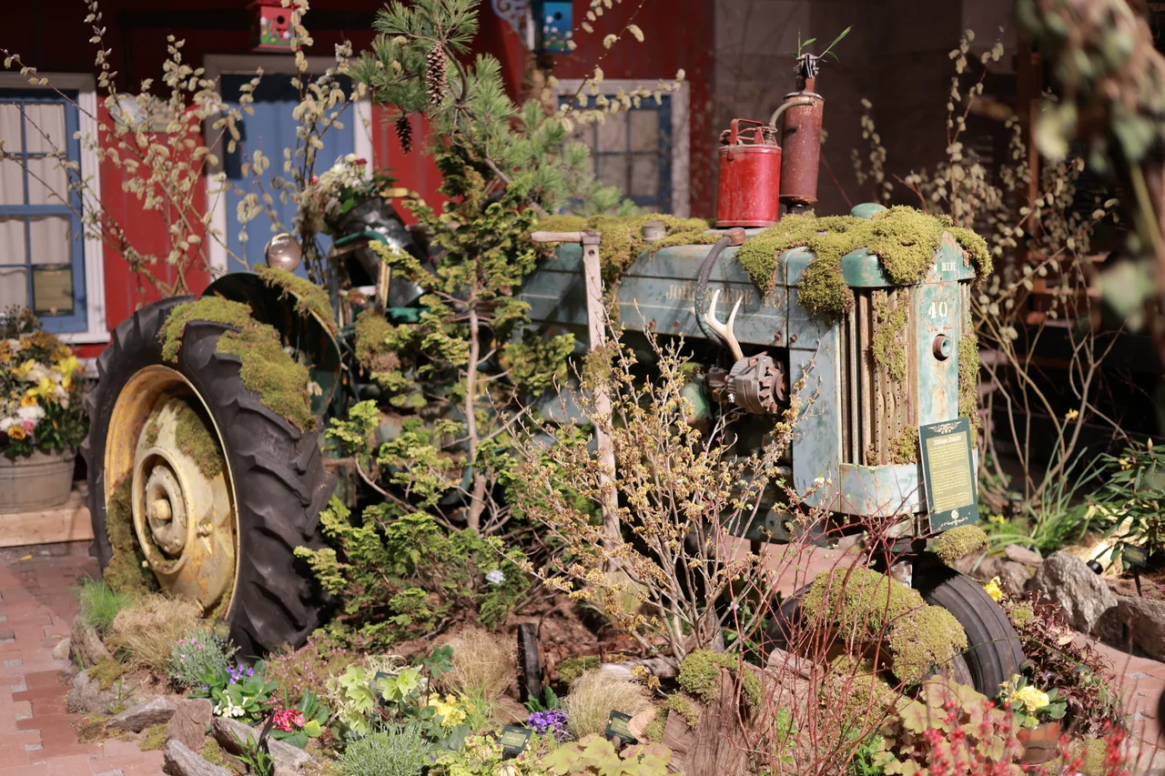 An old green tractor covered in moss and surrounded by branches and small plants